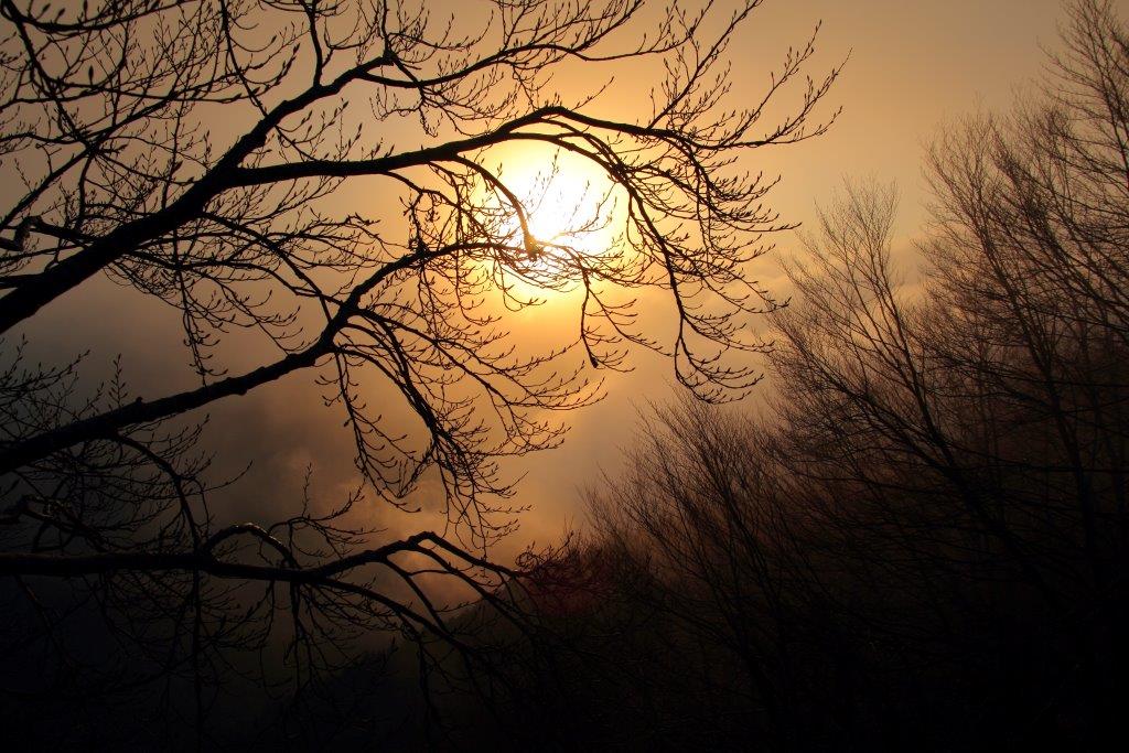 Alba al Parco Nazionale delle Foreste Casentinesi